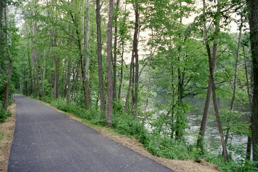 Glimpse Of River